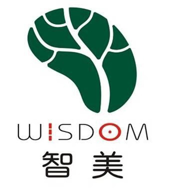 深圳市智美咨询管理有限公司